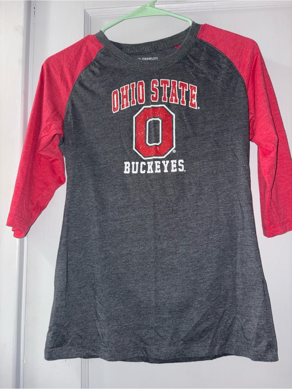 Colosseum Ohio State Buckeyes Gray and Red Raglan Tee